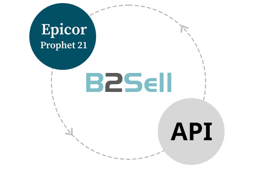B2Sell Web API for Prophet 21